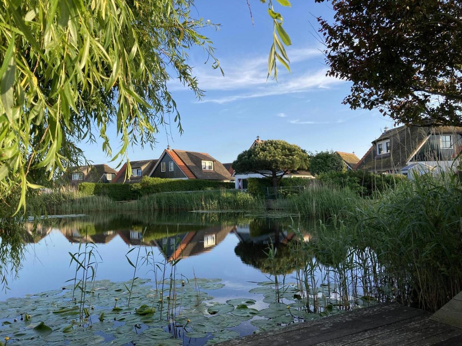 Villa Buitenplaats 47 卡兰茨奥赫 外观 照片